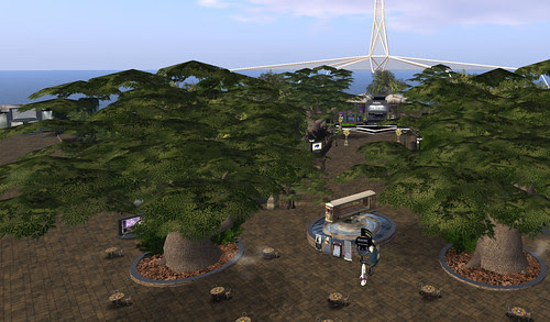 Melbourne sim March 13 2010 002