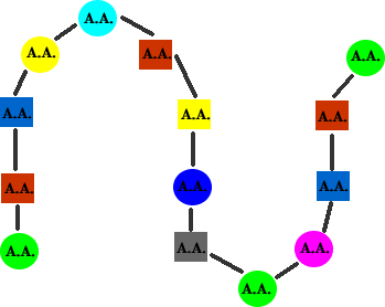 Polypeptide Structure Levels : #13. Protein - Primary, Secondary
