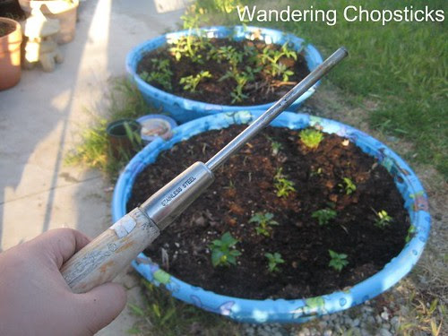 How to Make a Kiddie Pool Raised Bed Garden 1