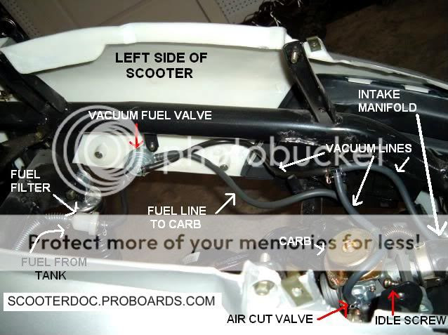 50cc Scooter Fuel Line Diagram Atkinsjewelry