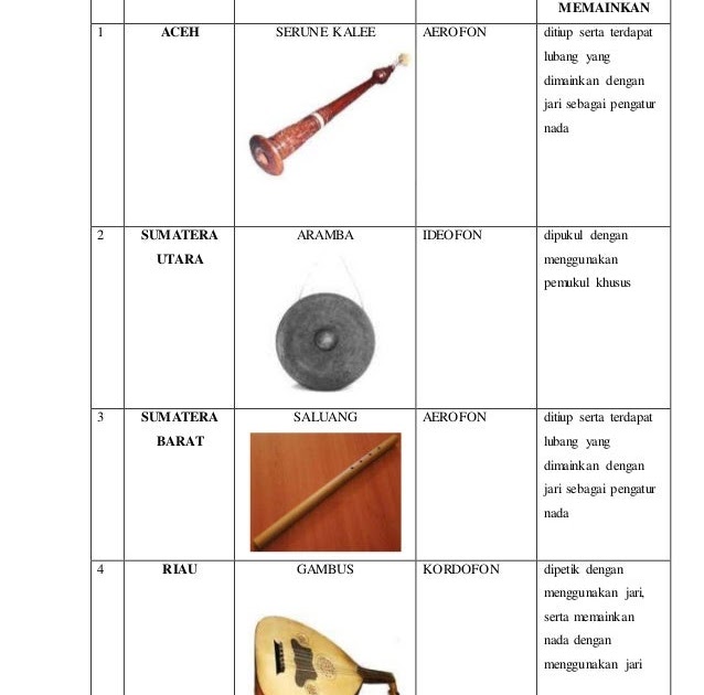 Contoh Alat  Musik  Elektrofon Beserta Gambarnya