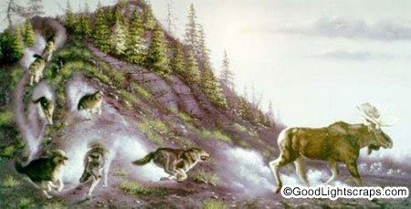 Illusion Scraps, Graphics, Glitters and Images for Orkut, Myspace, Facebook, Hi5, Tagged