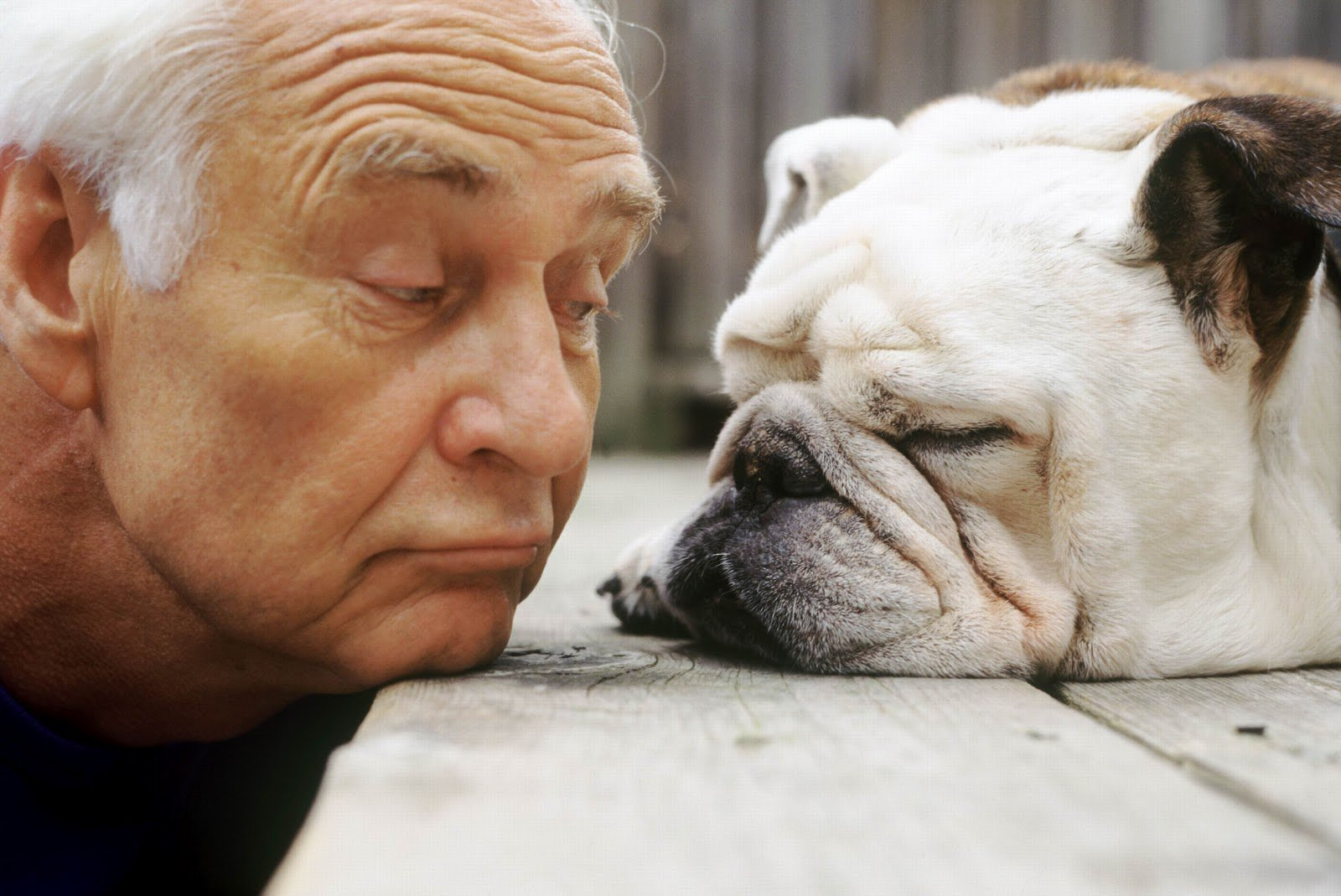 Risultati immagini per cani e anziani
