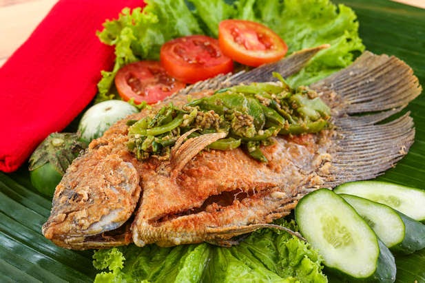 Resep Masak Ikan Mujair Kecil Masak Memasak