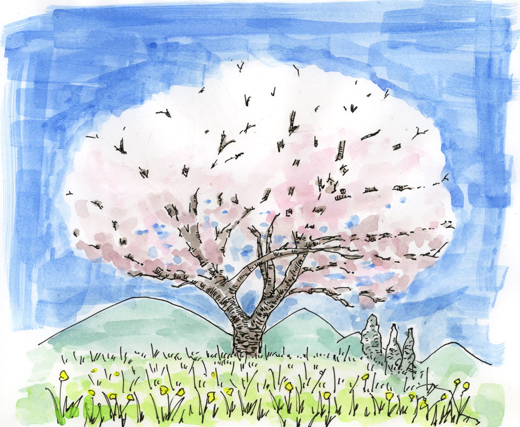 最も選択された 色鉛筆 桜の 木 イラスト 簡単 手書き 337324 Apixpixnem