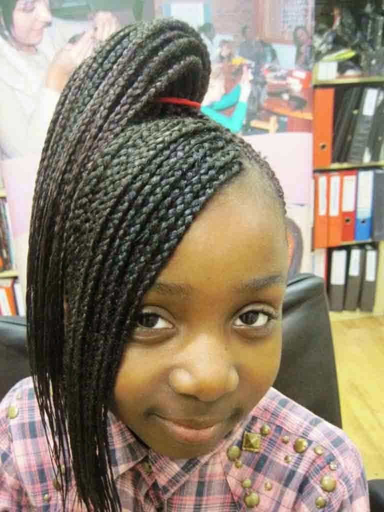 Popular Inspiration 32 Braid Hairstyle For Girl