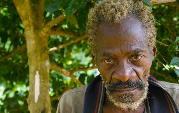 Baka have been forced from large areas of their ancestral land, and face violence from WWF-funded anti-poaching squads if they hunt, forage, or visit sacred sites.