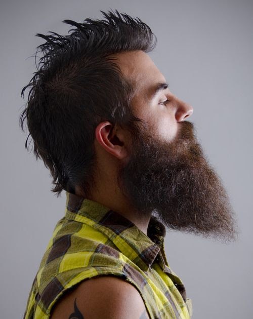 Picture beard profile All About