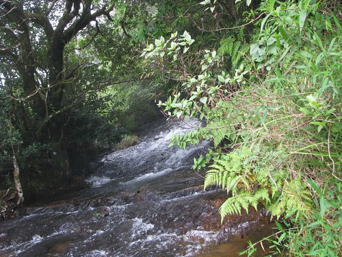 Kalhatti_Falls_Origin_Stream