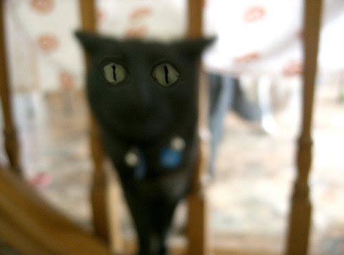 madcat