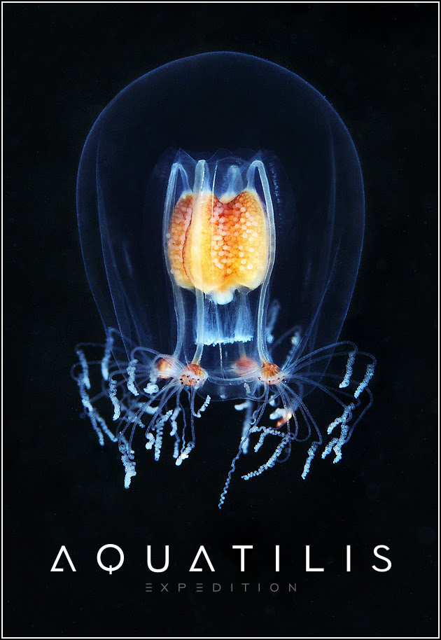 Aquatilis Expedition