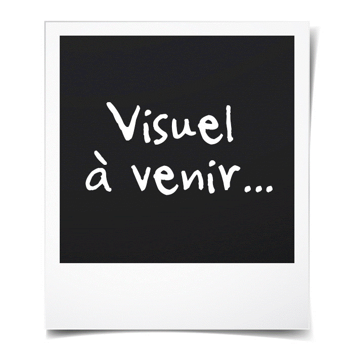 dracaufeu spirituel moin asmodee uzyc vmax evolutions