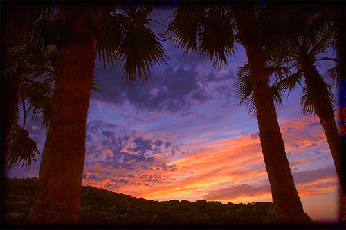 Ampliar sunset under the palm trees