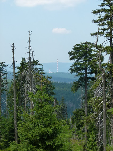 P1070254