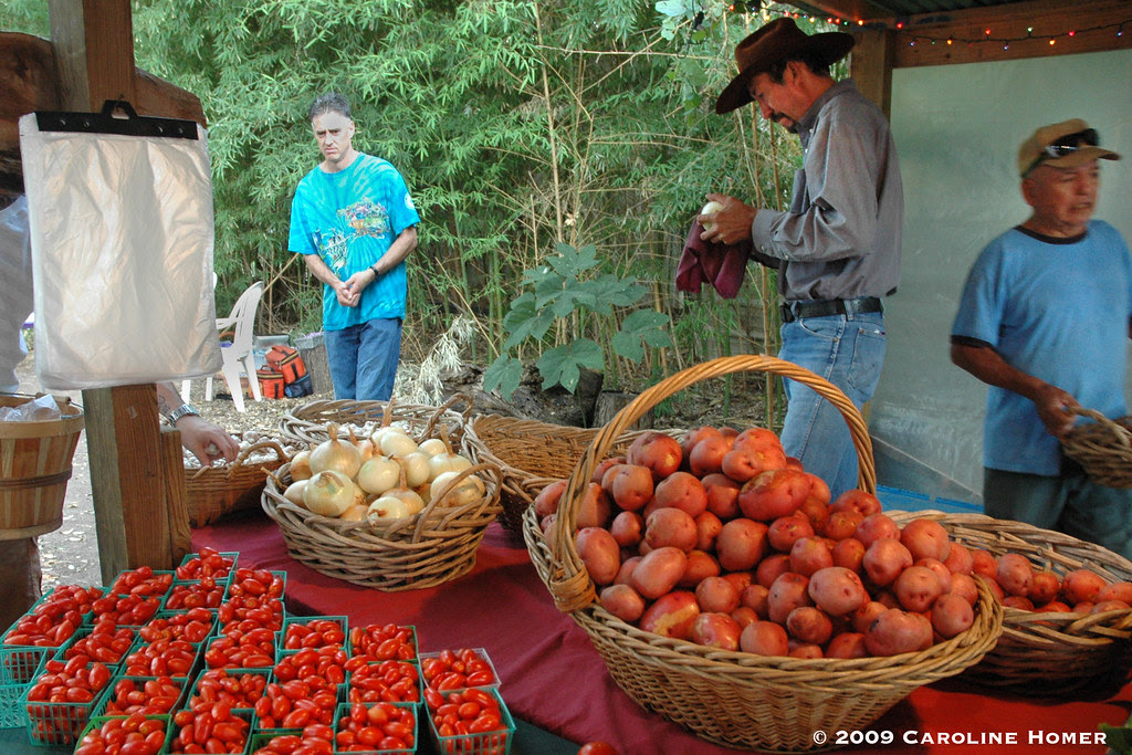 Onions, red potatoes and tomatoes