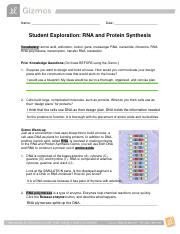 protein synthesis case study gizmo answer key
