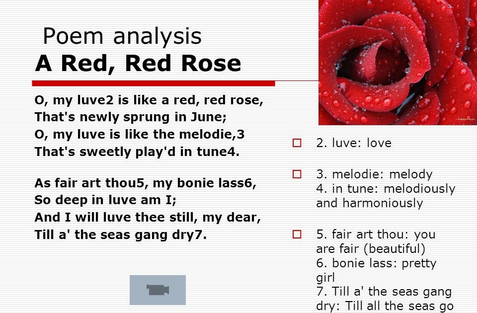 Red Red Rose Poem Meaning