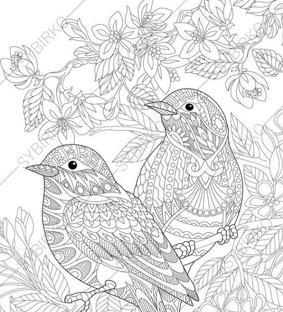 Coloring Pages Birds - Lets Coloring Together