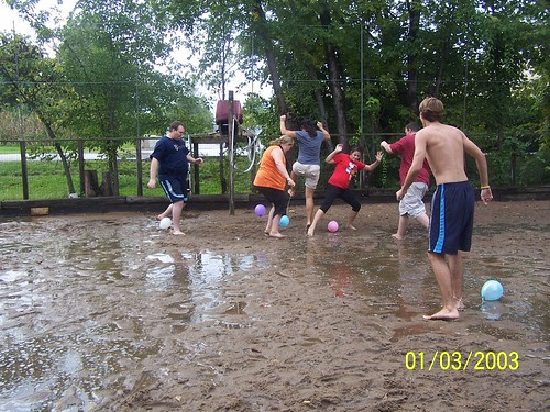 Survivor 2010