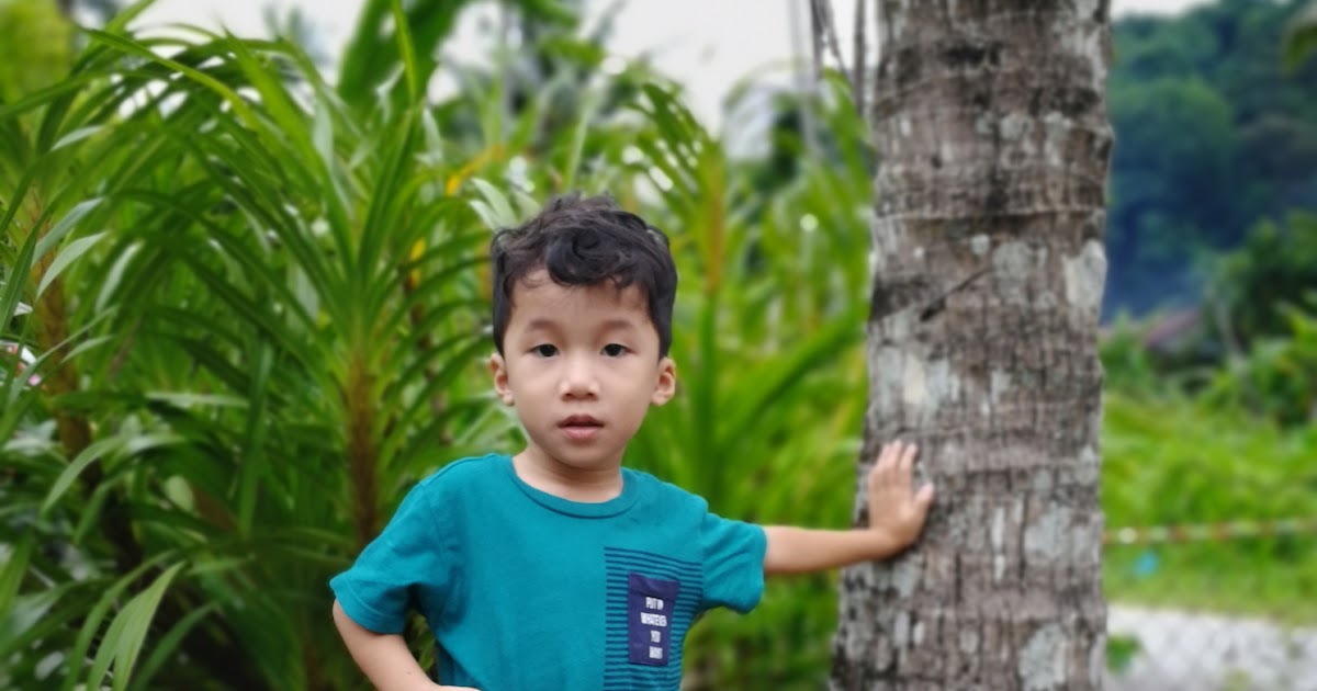 Ubat Sapu Demam Campak Rumah Aoi