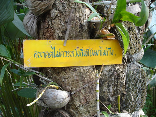 dsc05591