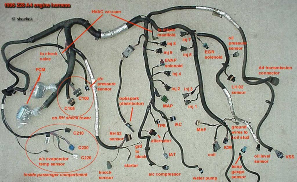 95 Camaro Lt1 Wire Harnes - Wiring Diagram Networks