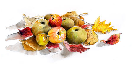 apples