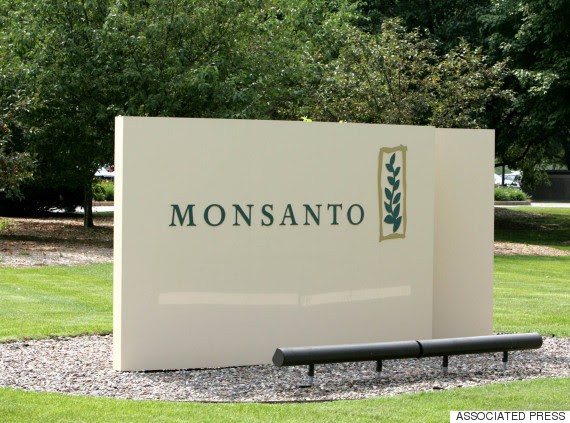 monsanto syngenta