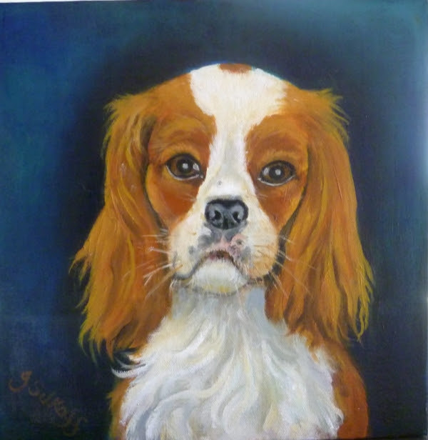 King Charles Spaniel