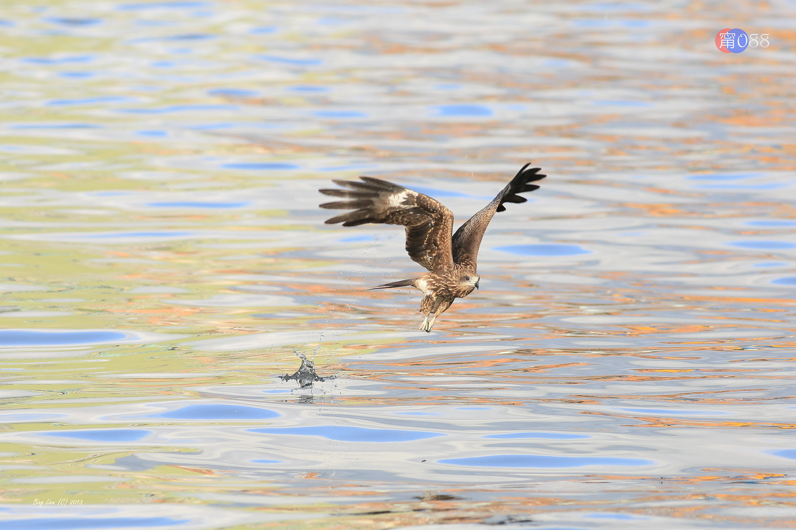 WATER_BING6651_LR