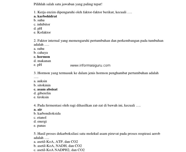 Kumpulan Soal Biologi Kelas 12 Semester 2 Dan Kunci