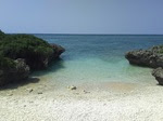 DSC_1307.JPG