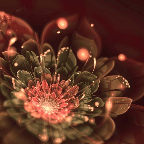 最新のhd幻想 的 花 イラスト 綺麗 美しい花の画像