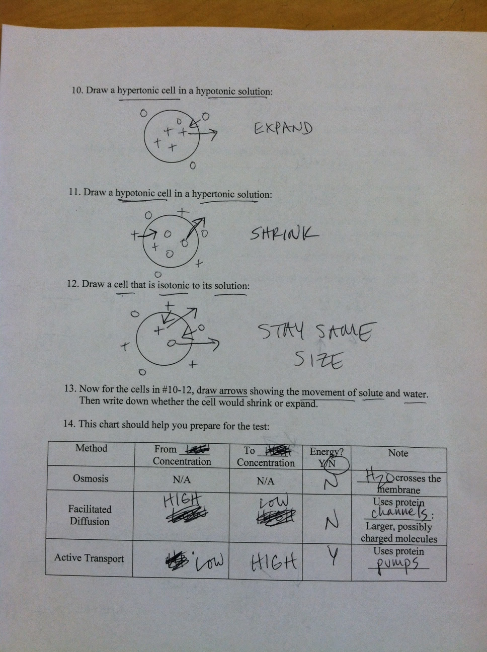 Chapter 10 Energy In A Cell Worksheet Answers - Worksheet List