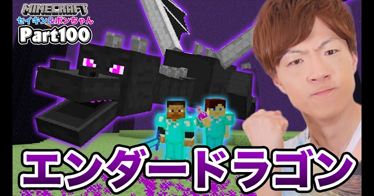 Brett Domino マインクラフト Part100 エンダードラゴン Vs セイキン夫婦 セイキンゲームズ Youtube Seikingames