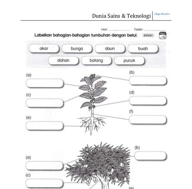 Soalan Latihan Sains Darjah 3  Contoh Win