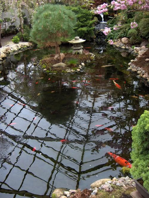 Japanese Garden