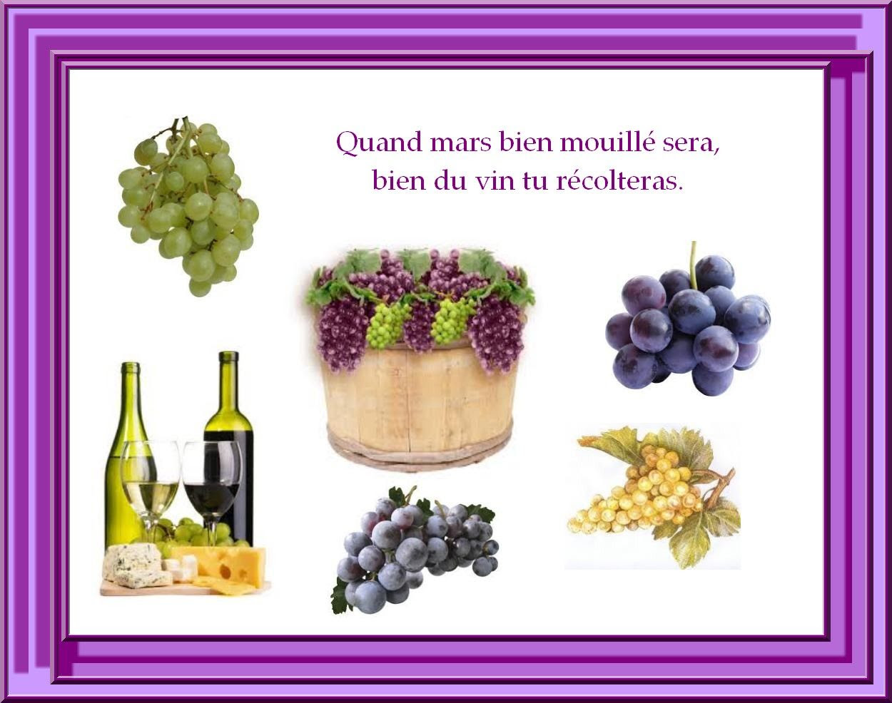 1001 Citation Image Mois De Mars