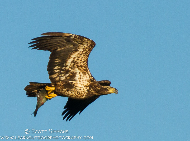 Photo & Video Sharing by SmugMug Photo & Video Sharing by SmugMug