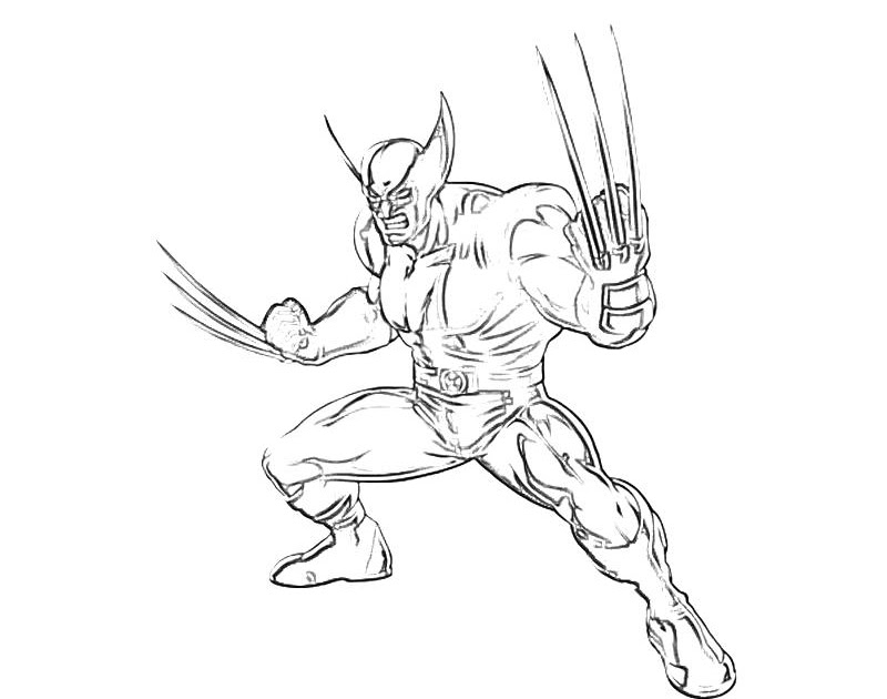 35 Wolverine Animal Coloring Pages - Free Printable Coloring Pages