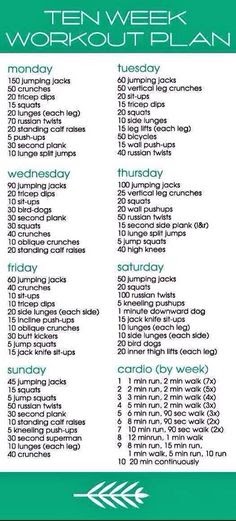 6 Month workout And weight loss plan