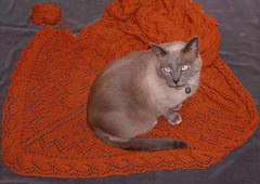 Mojo shawl