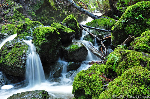 Small cascade, Cataract Falls (1of2)