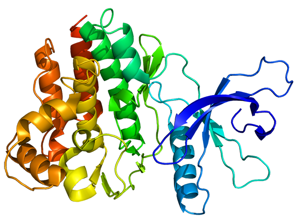 Structure of the JAK3 protein.