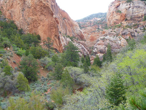 05.10.11 Kanarra Creek