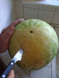 Sandia SelfService para le verano