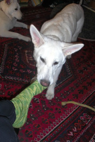 Happy Nov.28-taking off my socks-1