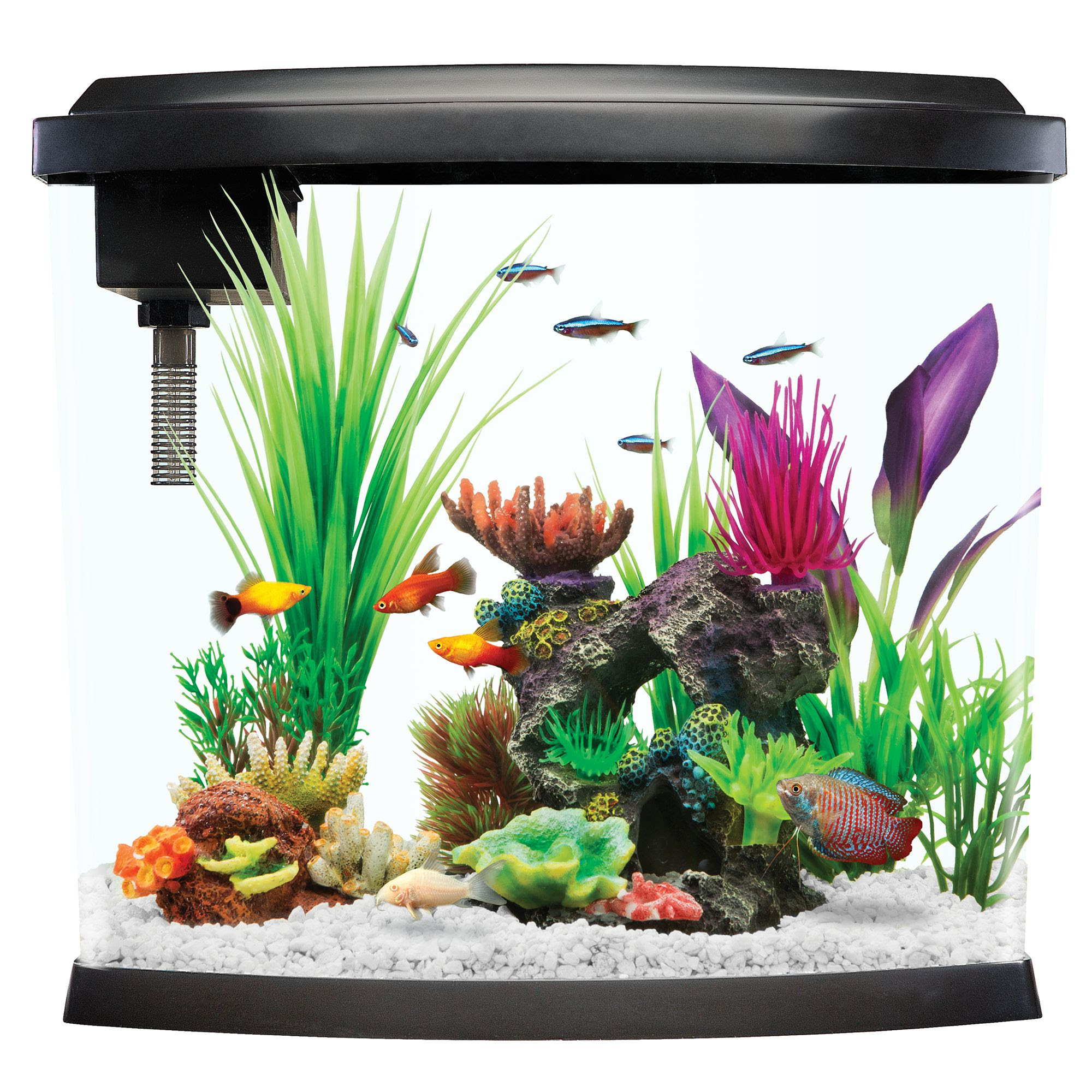 Xiaomi Geometry Fish Tank Aquaponics Ecosystem - aquaponic