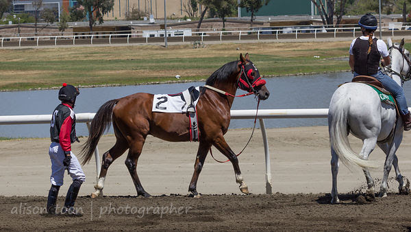 Racing at Sacramento