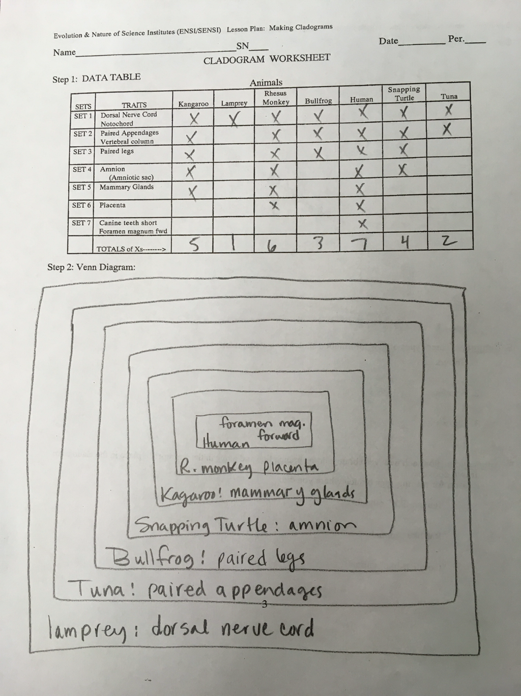 cladogram-worksheet-key